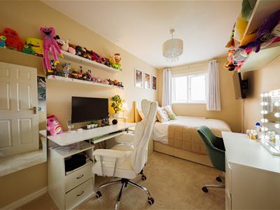 Picture 12